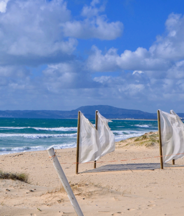 White flags on Comporta beach